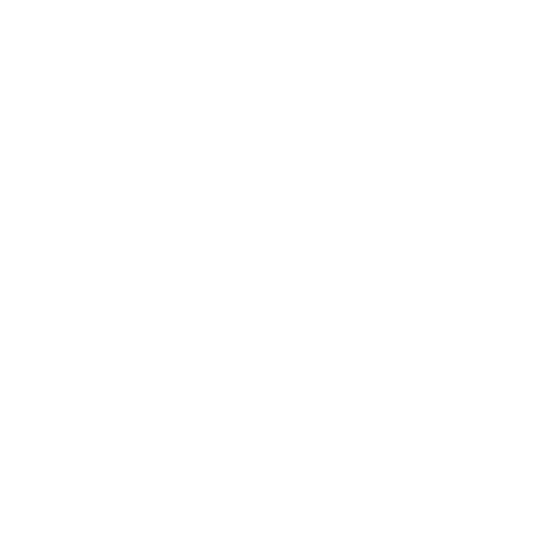 logo light